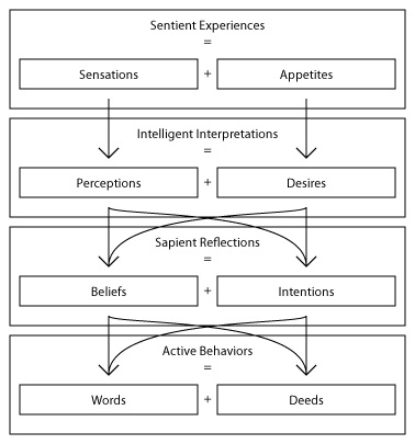 Action Functions