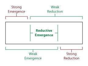 Reduction and Emergence