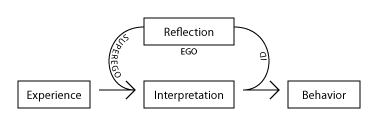<i>Codex</i> reflexive functions