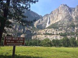 Yosemite Falls from Cook's Meadow