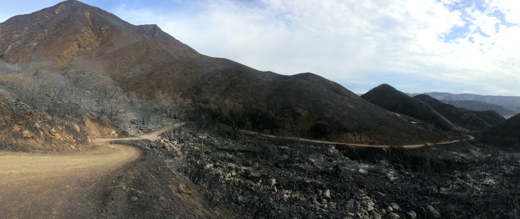Thomas Fire aftermath above Pratt Trail